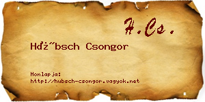 Hübsch Csongor névjegykártya